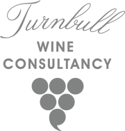 consultancy_logo